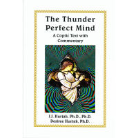 Thunder Perfect Mind